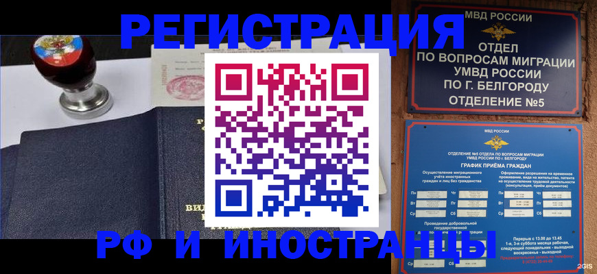 временная регистрация поиск в Лосино-Петровском